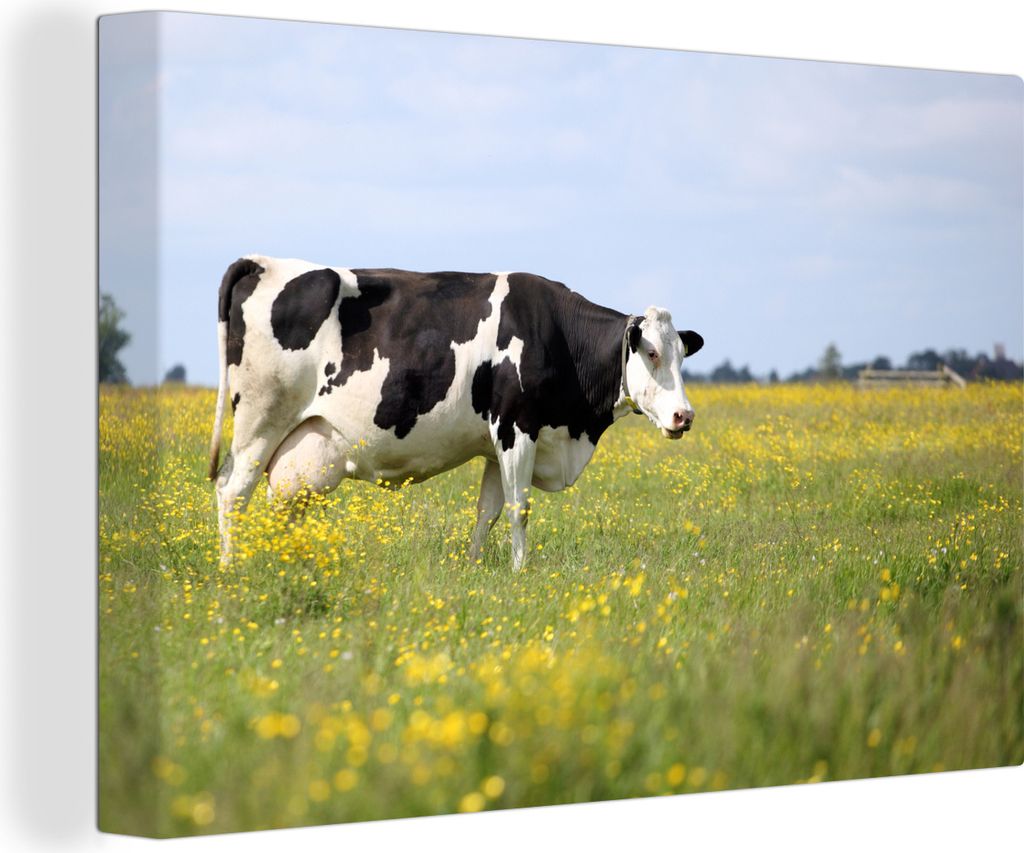 OneMillionCanvasses - Leinwandbilder - 140x90 cm, Kuh - Gras - Blumen, Wandbilder Kunstdruck Wanddekoration - Foto auf Leinwand - Gemälde auf Ho...