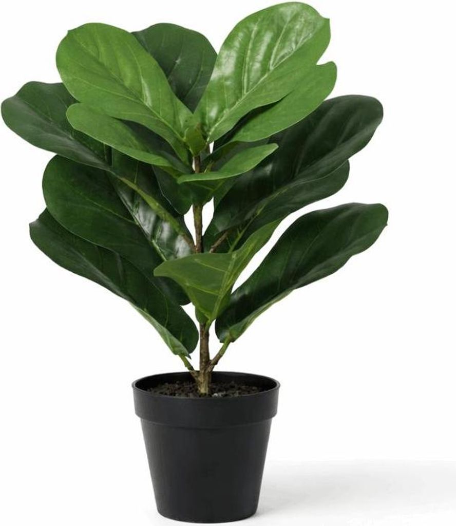 Ficus lyrata Kunstpflanze 40cm – Kompakte Geigenfeige Deko Pflanze – Pflegefreie Zimmerpflanze für Fensterbank Büro & Regal