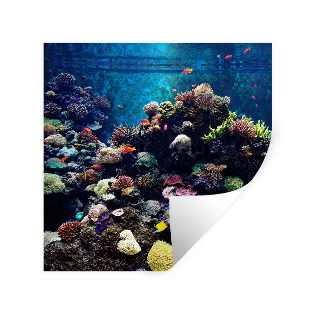 MuchoWow Wandtattoo Wandsticker Wandaufkleber Aquarium mit tropischen Fischen und Korallen 50x50 cm Selbstklebend und Repositionierbar - Selbstkl...