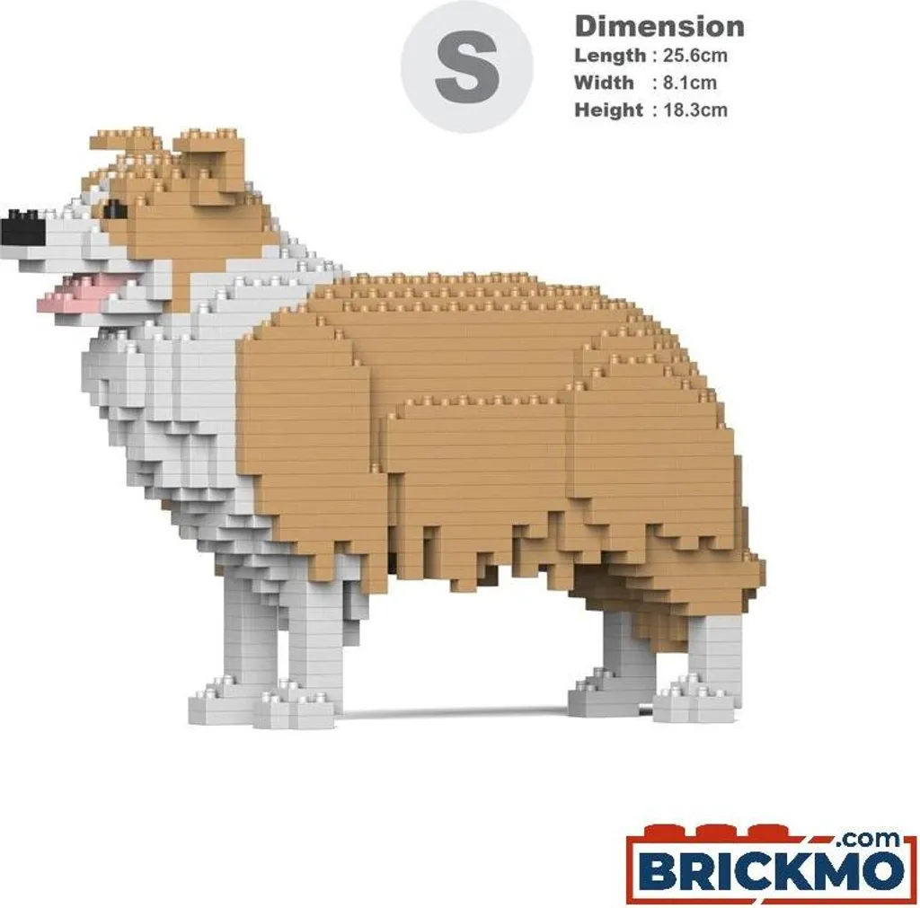 Décoration Chien Border Collie à Construire pour Bureau et Salon