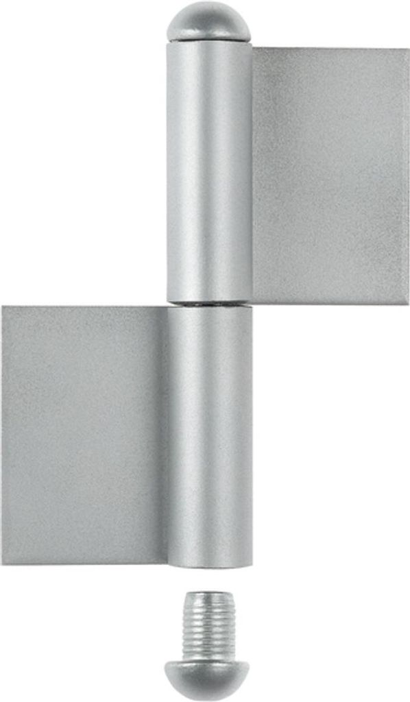 Gustav Alberts constructieband, 120x30x Ø 9x60mm, roestvast Productafbeelding 