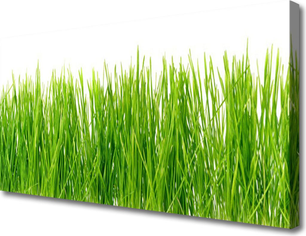 Tulup Leinwand-Bilder 100x50 Wandbild Canvas Kunstdruck Produktbild 