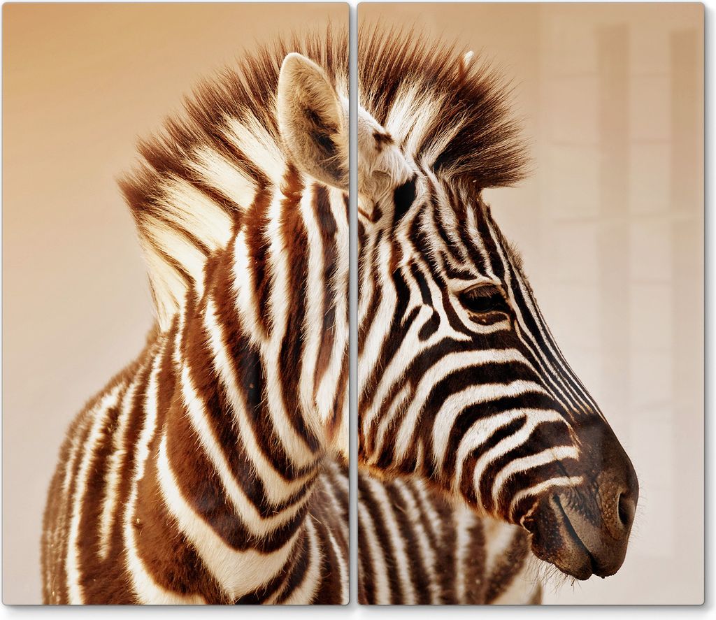 DEQORI Herdabdeckplatte Glas 2-tlg 'Savannenstreifen' Abdeckplatte Küche Glaskeramikkochfeld Herd