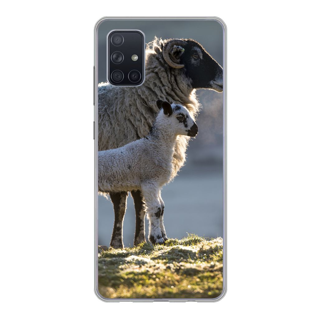 MuchoWow Handyhülle Schutzhülle Hülle für Samsung Galaxy A71 Schaf - Lamm - Sonne Silikon Softcase Handy Hülle - Kartenbesitzer