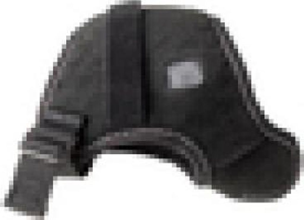 Zebra SG-WEAR-HNWPLS-02, Handschlaufe, Schwarz, Zebra, RS5100, RS6100, WS50, 1 Stück(e)