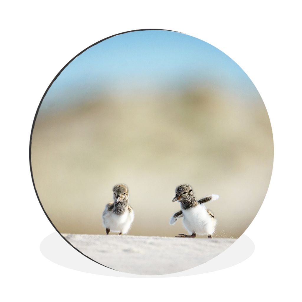 MuchoWow Aluminium Wandkreis Junge - Sand - Vögel Ø 90 cm Wanddeko Modern Wohnzimmer - Mauerkreis - Wandbilder - Runde Bild - Bild aus Aluminiu...