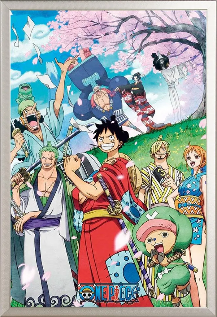 Quadro One Piece Wano Cornice Alluminio Shinsuke® Argento 61x91