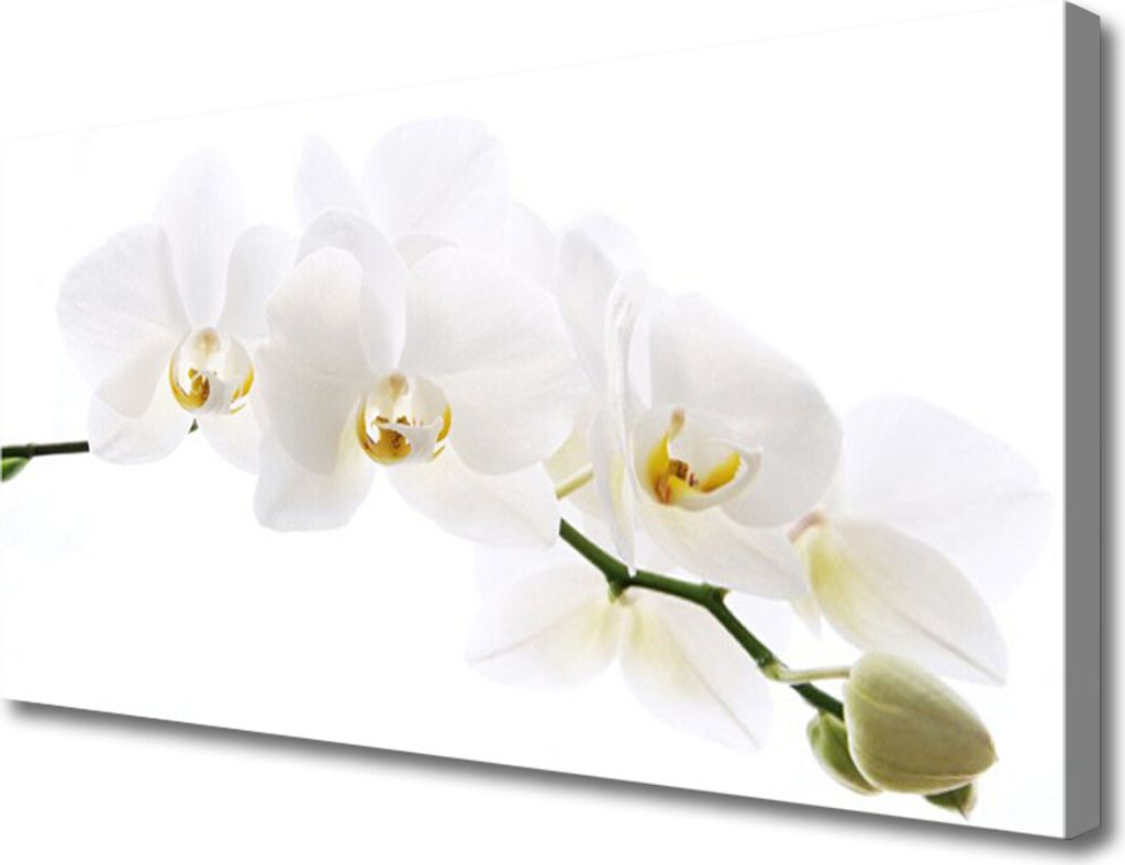 Tulup Leinwand-Bilder 100x50 Wandbild Canvas Kunstdruck Blumen Pflanzen