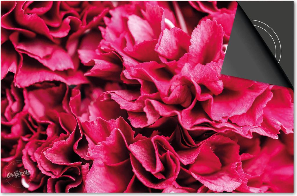 Induktionsschutz 71x52 - abdeckplatte Induktion matt- Dietrix Kochfeldschutz- Base - Flowers 2 - Pfingstroseen fuchsia paddles
