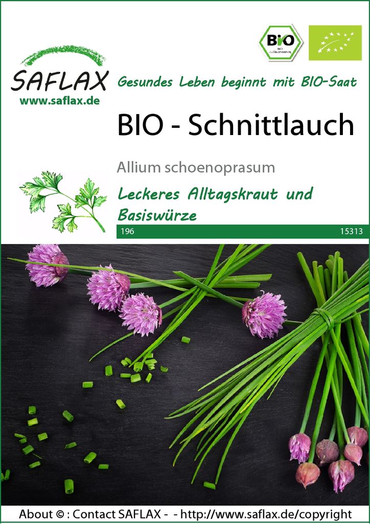 SAFLAX -  - Bieslook - 250 zaden - Allium schoenoprasum Productafbeelding 