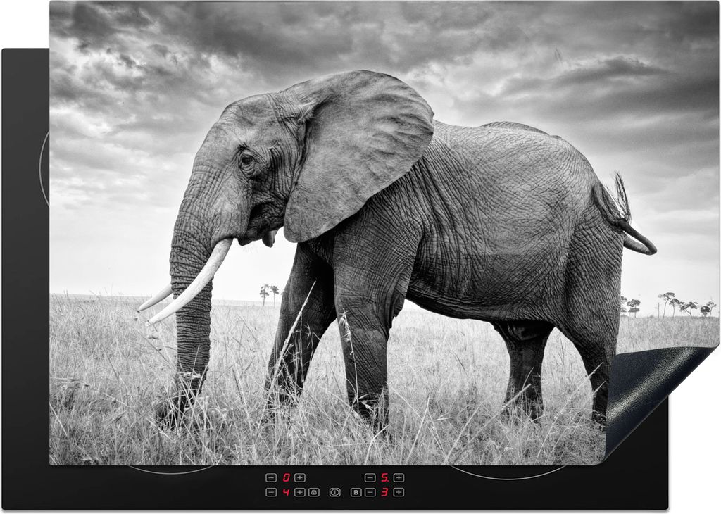 KitchenYeah© Herdabdeckplatte Elefant - Gras - Tiere - Produktbild 