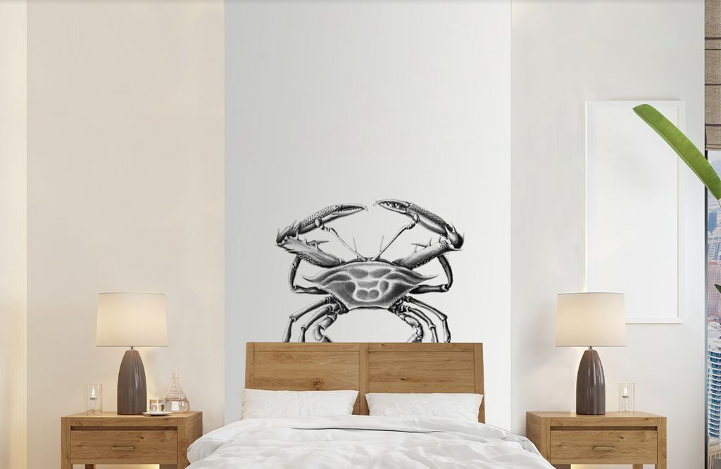 MuchoWow Fototapete für Wohnzimmer oder Schlafzimmer Wandtapete Vinyl Motivtapete Ernst Haeckel - Jahrgang - Kunst - Krabbe - 120x240 cm - Hinte...