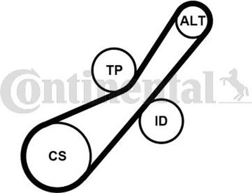 Kit de courroies trapézoïdales crantées pour Peugeot 208, 307 et 5008