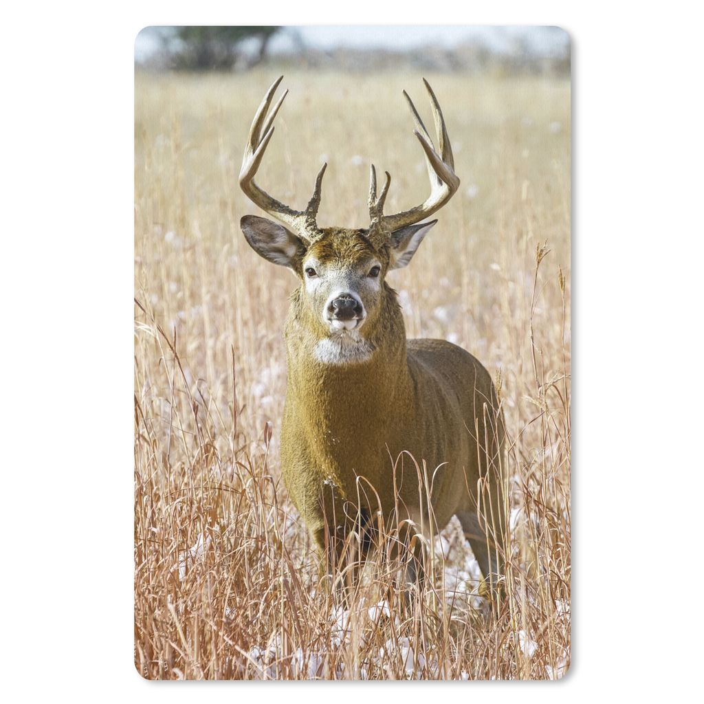 MuchoWow Mauspad Mousepad Hirsche - Gras - Herbst - Tiere - Natur - Geweih 18x27 cm - Mousepads - Maus Mat - Pad - Mausunterlage