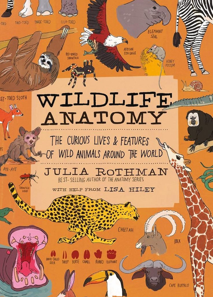 Wildlife Anatomy – Lingua: Inglese