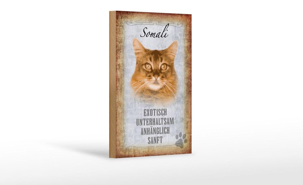 Holzschild Spruch 12x18cm Somali Katze Schild deko