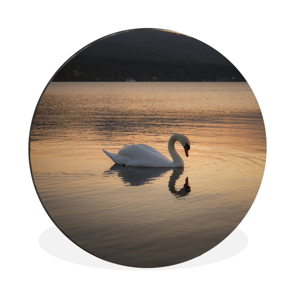 MuchoWow Aluminium Wandkreis Schwan - Sonnenuntergang Ø 90 cm Wanddeko Modern Wohnzimmer - Mauerkreis - Wandbilder - Runde Bild - Bild aus Alumi...