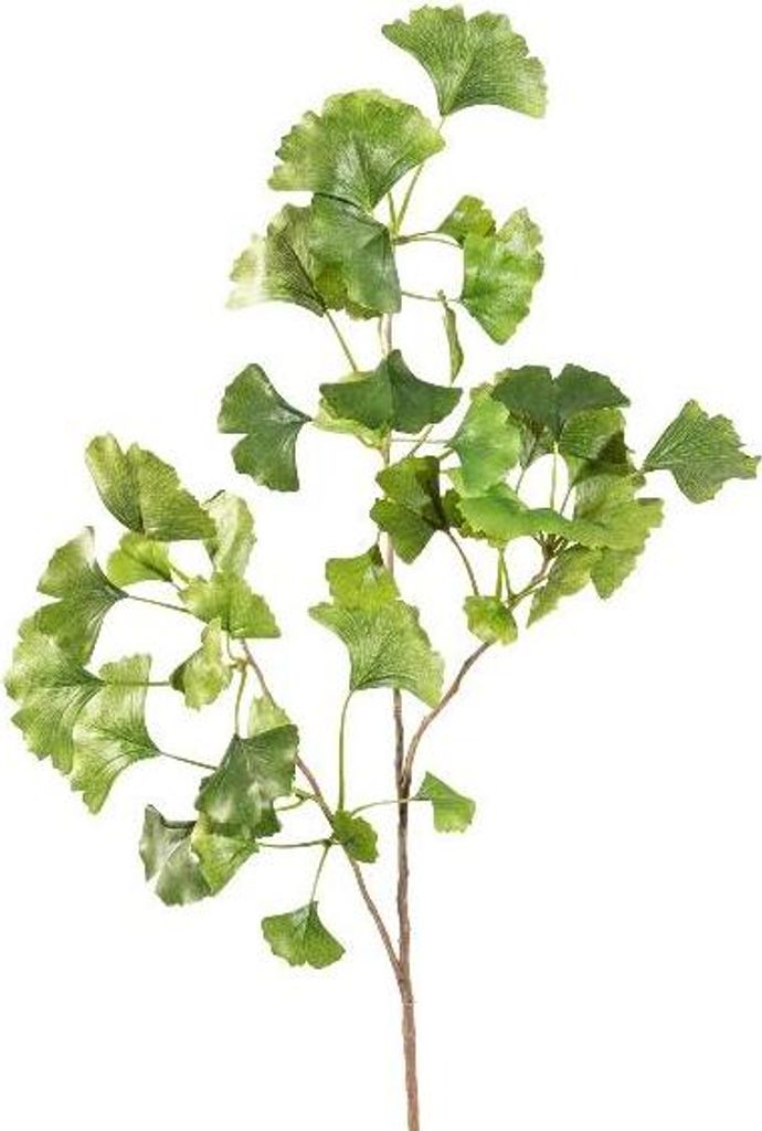 artplants.de Deko Zweig Ginkgo BAVLEN, grün, 85cm - Künstlicher Gingkozweig