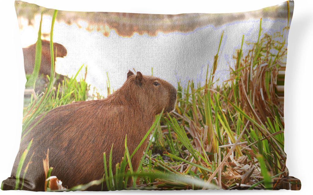 MuchoWow Outdoor Kissen - Ein Capybara zwischen dem hohen Schilf - 50x30 cm - Wetterfest - Lounge Kissen - Sofa kissen - Wohnzimmer Dekoration
