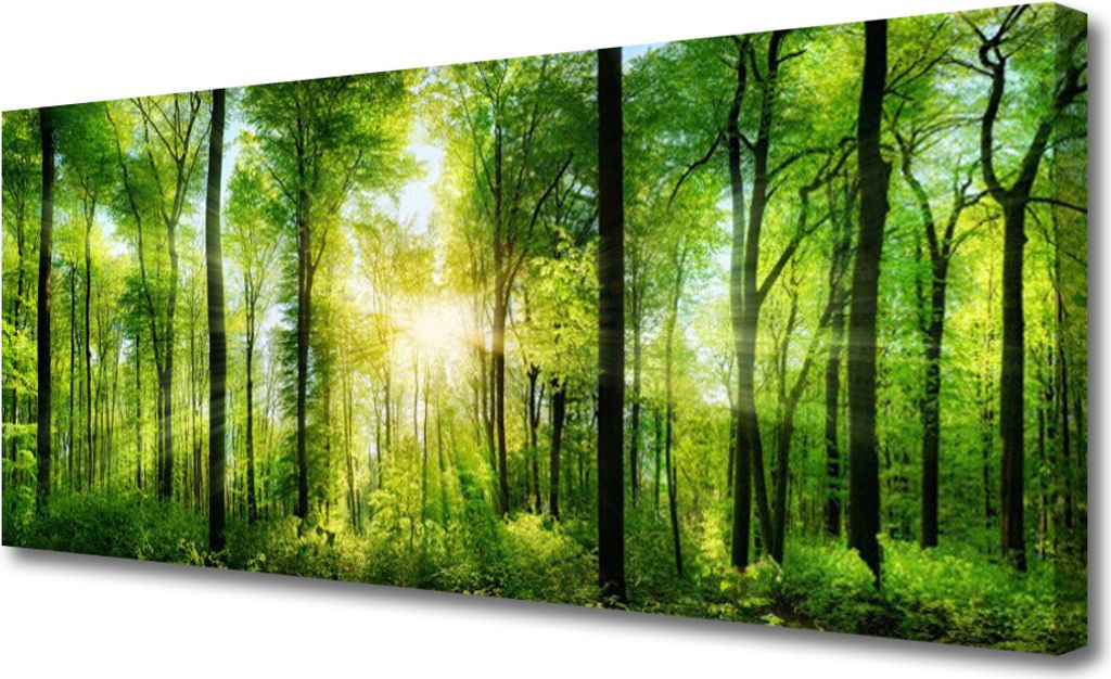 Tulup Leinwand-Bilder 125x50 Wandbild Canvas Kunstdruck Wald Natur