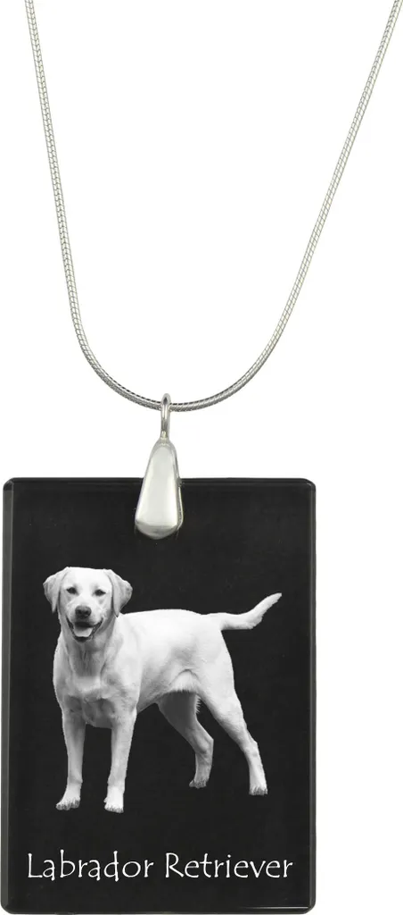 Labrador Retriever I - Ciondolo in cristallo con cane, collana in argento con foto, ciondolo personalizzato del marchio Art-Dog