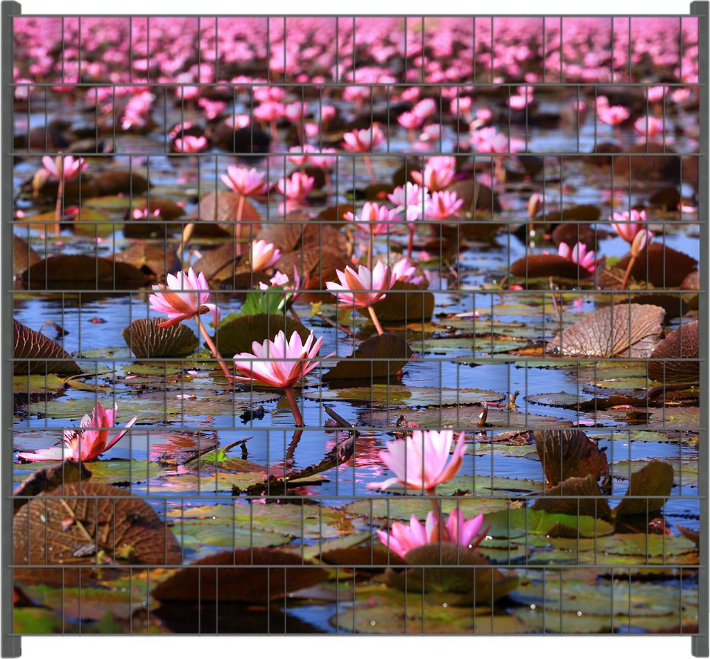 Wallario Zaunsichtschutz mit Motiv Seerosenlandschaft mit rosa Blüten für Ein- und Doppelstabmatten Zäune in der Größe 200 x 180 cm