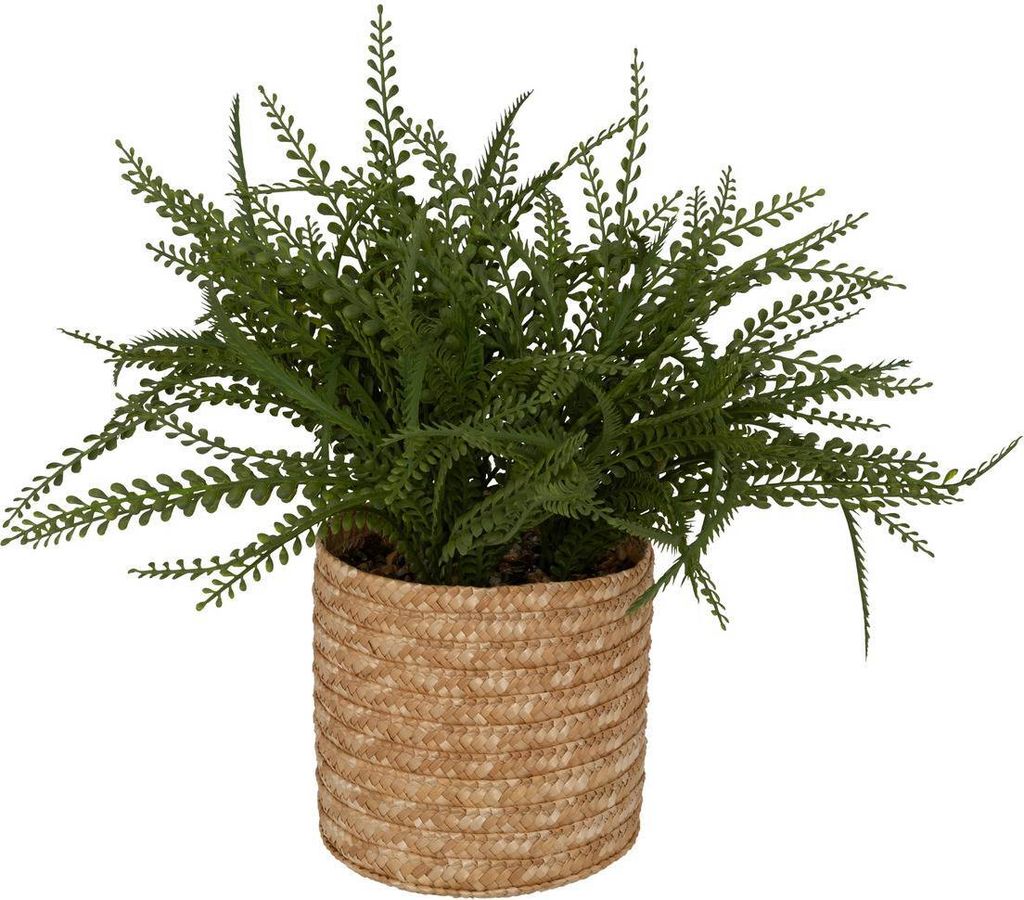 Künstlicher farn im topf "clemy" grün h45cm  - Atmosphera Produktbild 