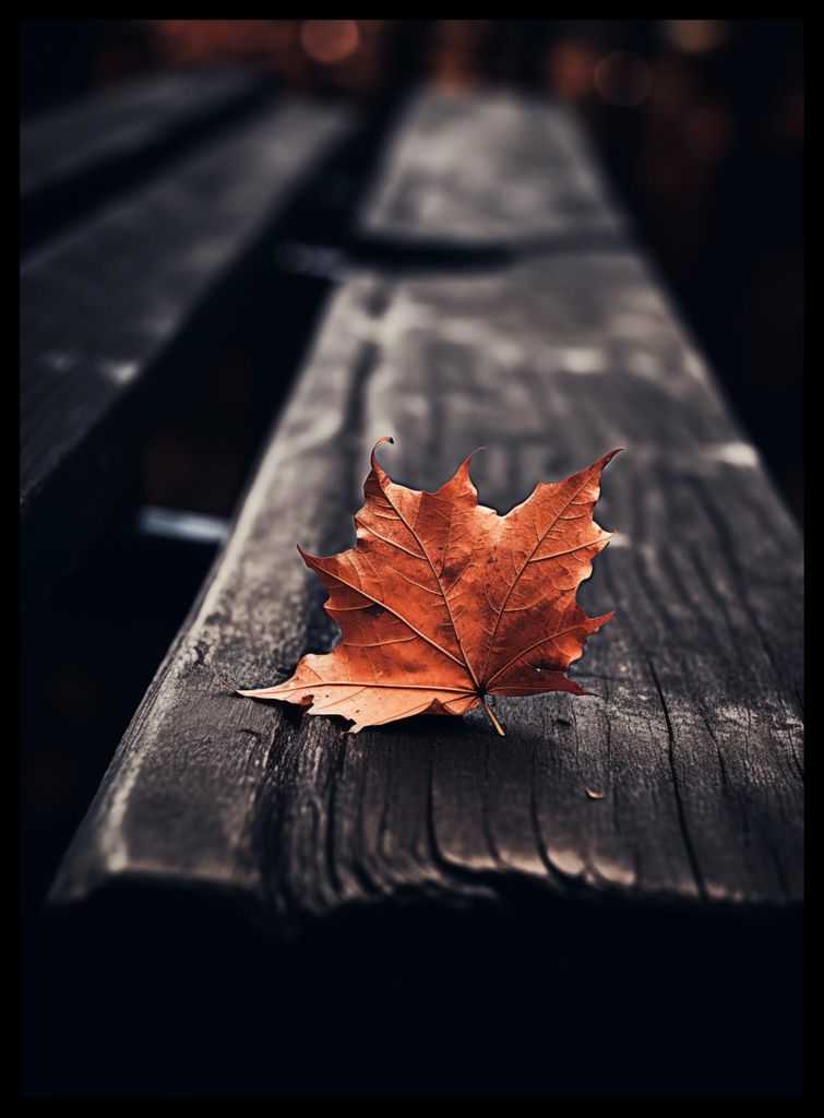 Plakat 40x55cm Einzelnes Blatt