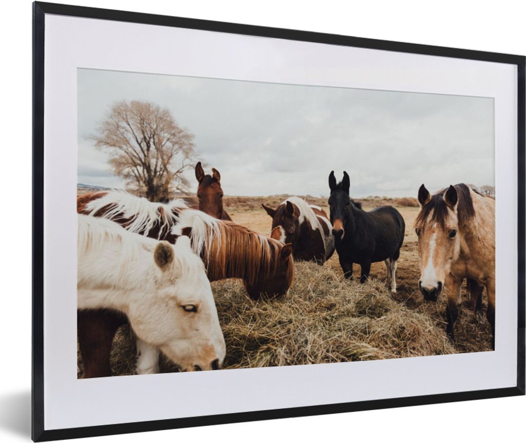 MuchoWow Gerahmtes Poster Tiere - Pferd 60x40 cm - Poster mit Schwarzem Bilderrahmen Wandposter Rahmen Foto Bilder - Schlafzimmer - Plakat in Rah...