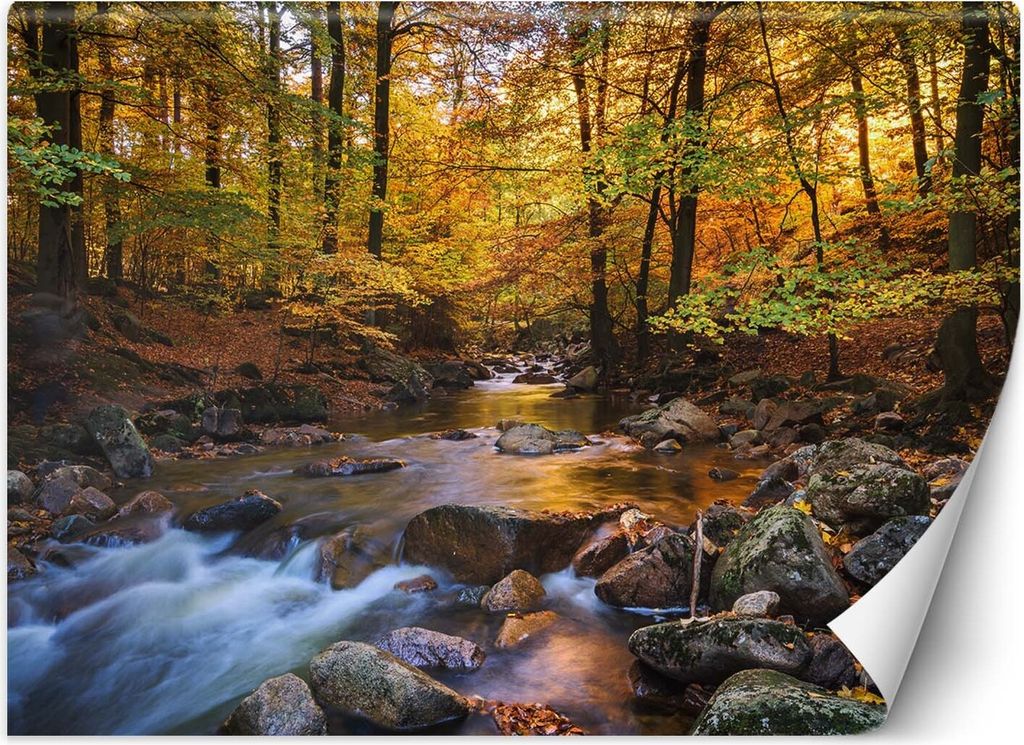 Vlies fototapete Gebirgsbach im Wald 150x105 cm Feeby Orange inkl. Kleber einfache Montage