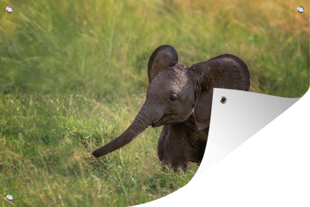 MuchoWow 90x60 cm Outdoor-Poster Gartendeko Sichtschutz Garten Poster für den Garten Elefant - Baby - Kalb