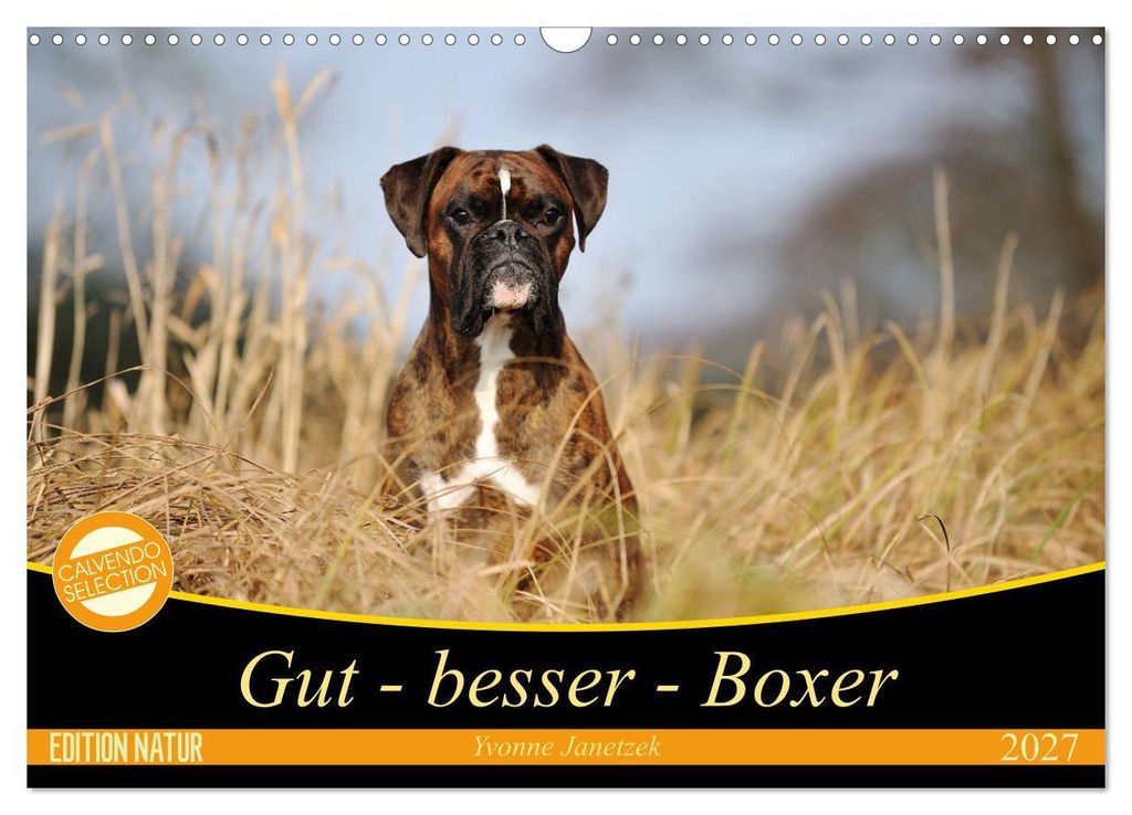 Gut - besser - Boxer (Wandkalender 2027 DIN A3 quer), CALVENDO Monatskalender
