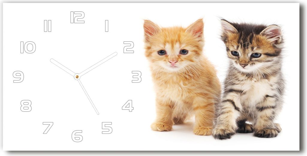 Wanduhr aus Glas – 60x30 cm - Glasbild - Glasuhr - Gehärtetes Glas - weisse-zeiger - Brown und rote Katze