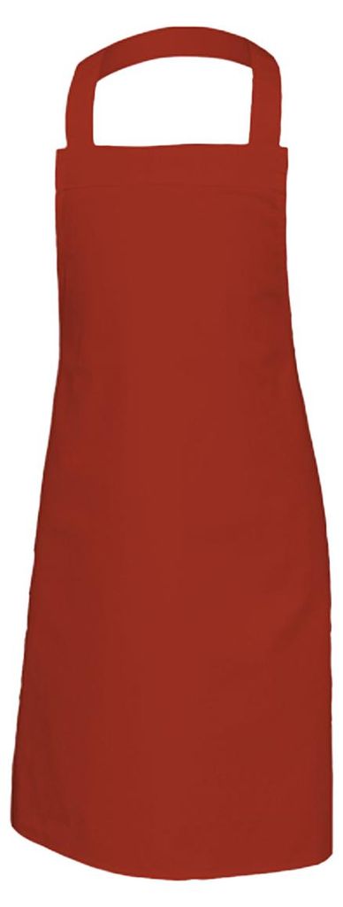 Link Kitchen Wear - Schürze, Grillfest LT5543 (Einheitsgröße) (Terrakotta)
