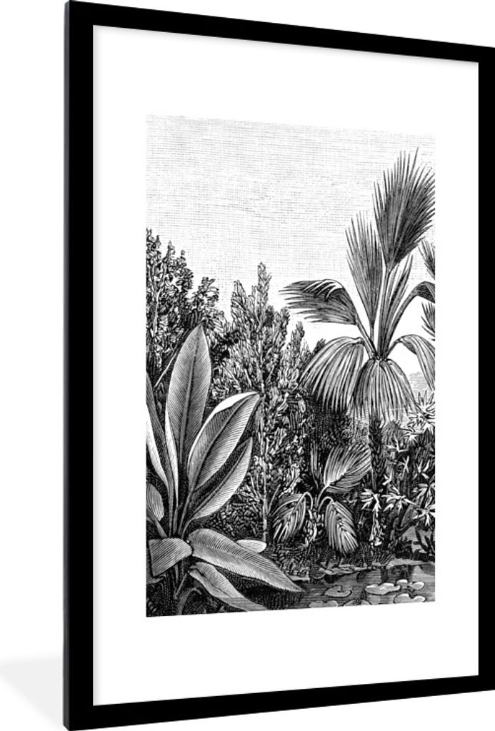 MuchoWow Gerahmtes Poster Pflanzen - Natur - Gestaltung - Illustration - Ernst Haeckel 60x90 cm - Poster mit Schwarzem Bilderrahmen Wandposter Ra...