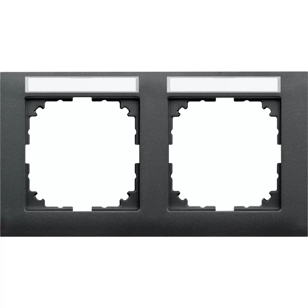 Merten MEG4021-3614 Cadre Double M-Pure Anthracite pour Prise et Inter