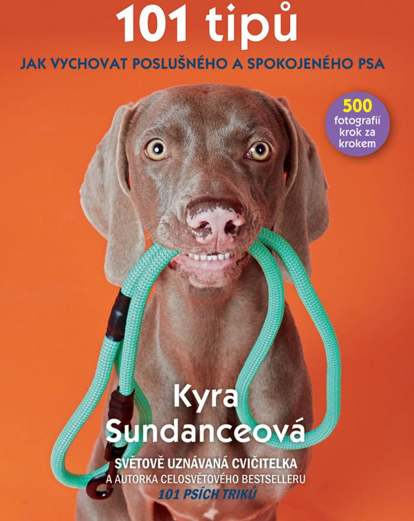 101 tipů jak vychovat poslušného a spokojeného psa (Sundanceová Kyra)