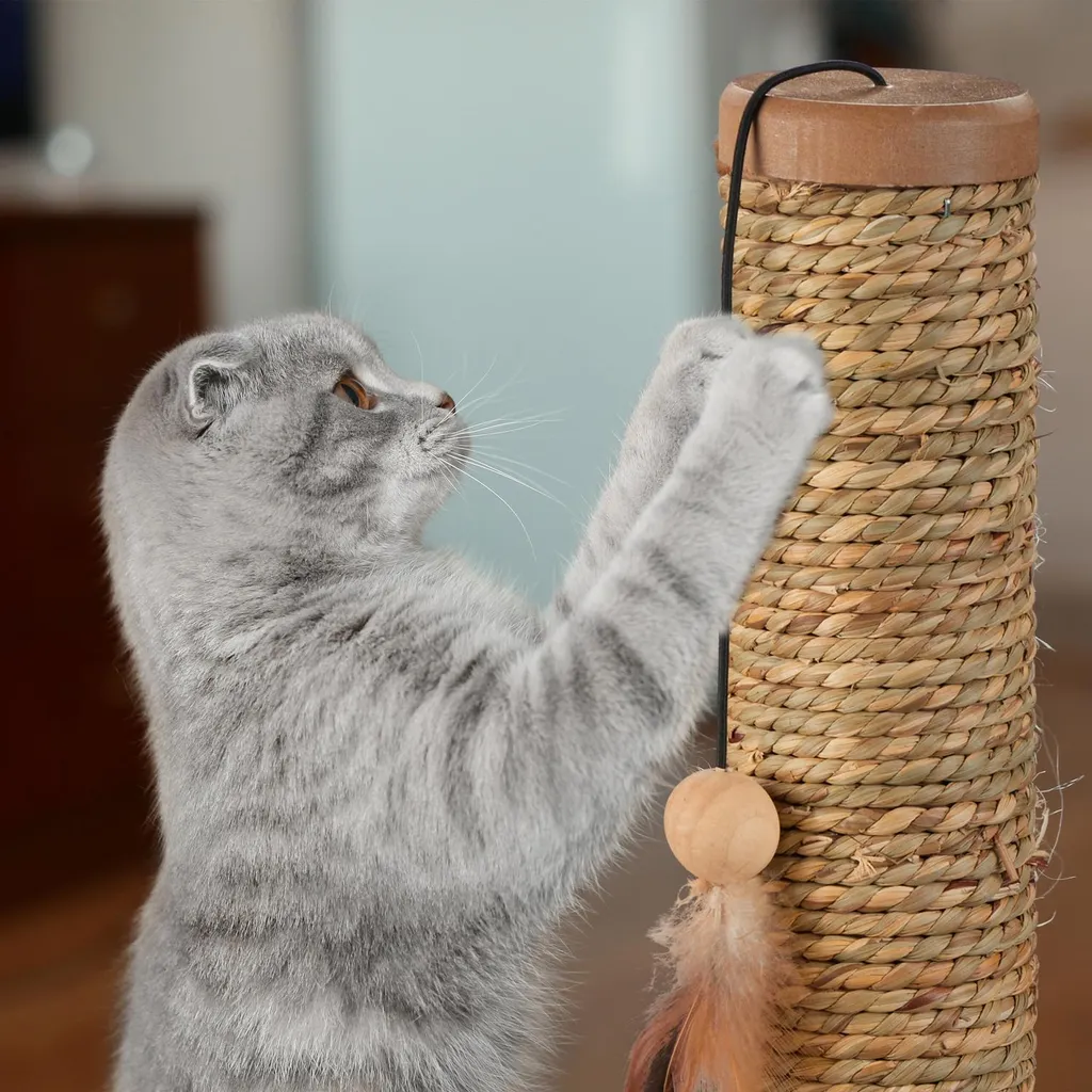 Arbre à chat design avec planche de jeu interactive et corde robuste - 4