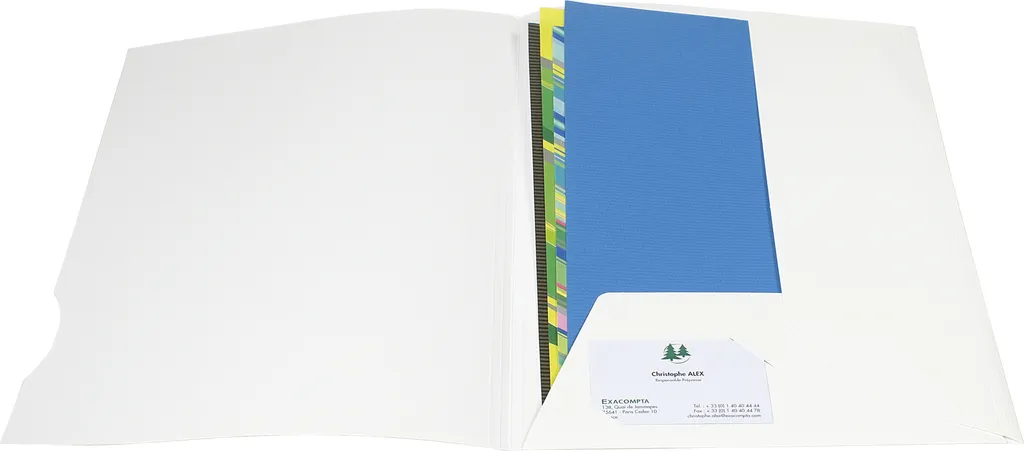 Chemises de présentation Exacompta A4 Blanc 250g Réf 635017E - Lot de 20