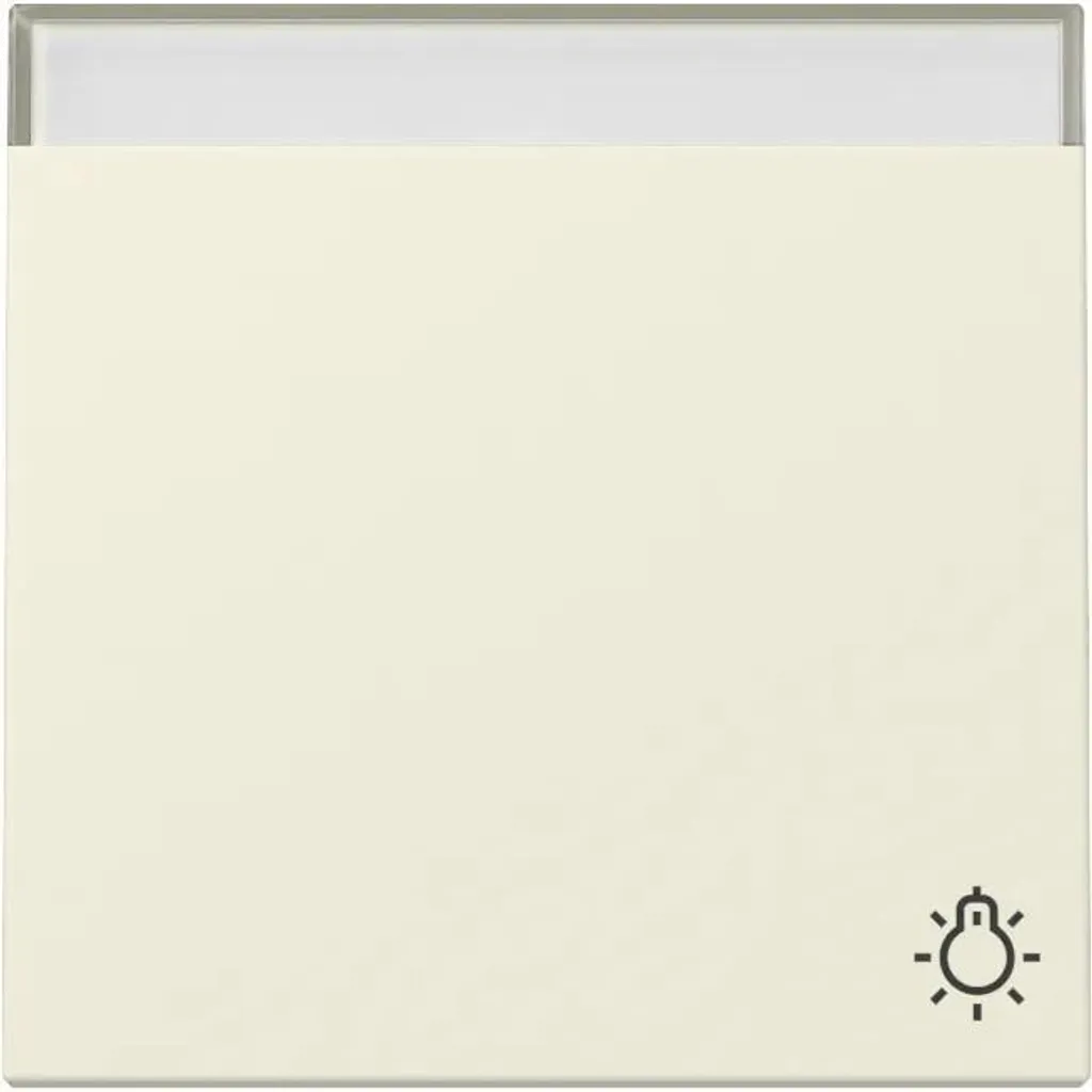 Enjoliveur Gira 367301 avec Symbole Bell et Protection BSF System 55 CWS