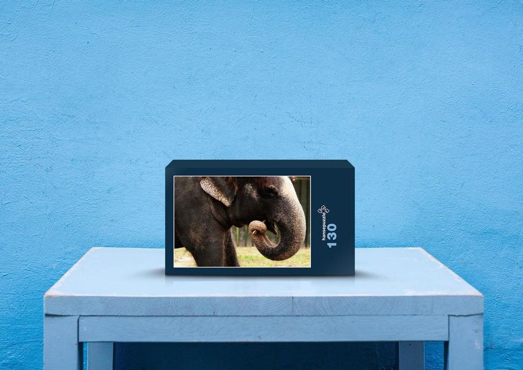 hansepuzzle 85865 - Elefant Puzzle, 130 Teile, Tierwelt, 28,7 x 20,0cm mit hochwertiger Aufbewahrung, Kartonbox und wiederverschließbarem Beutel