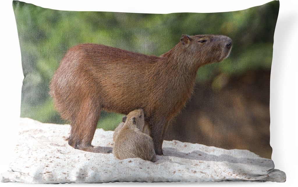 MuchoWow Outdoor Kissen - Zwei Wasserschweine füttern ihre Mutter auf einer Sandbank am Fluss - 50x30 cm - Wetterfest - Lounge Kissen - Sofa kis...