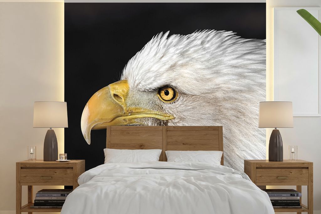 MuchoWow Fototapete für Wohnzimmer oder Schlafzimmer Wandtapete Vinyl Motivtapete Adler - Vogel - Schnabel - Augen - 220x220 cm - Tapeten