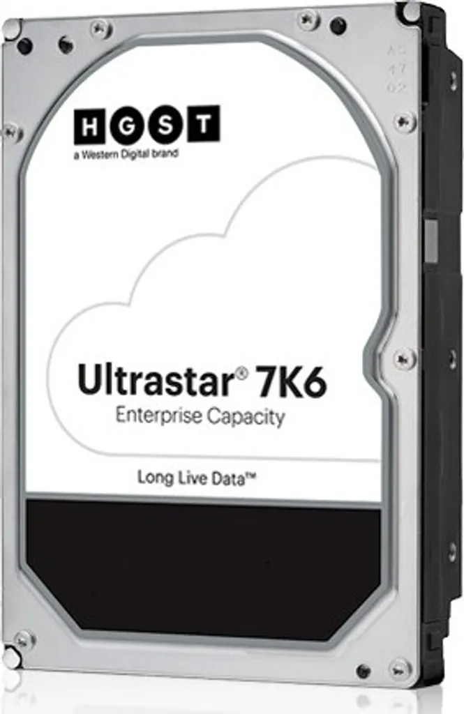 Disque Dur SAS 4 To 7200 RPM avec 256 Mo Cache Western Digital 7K6