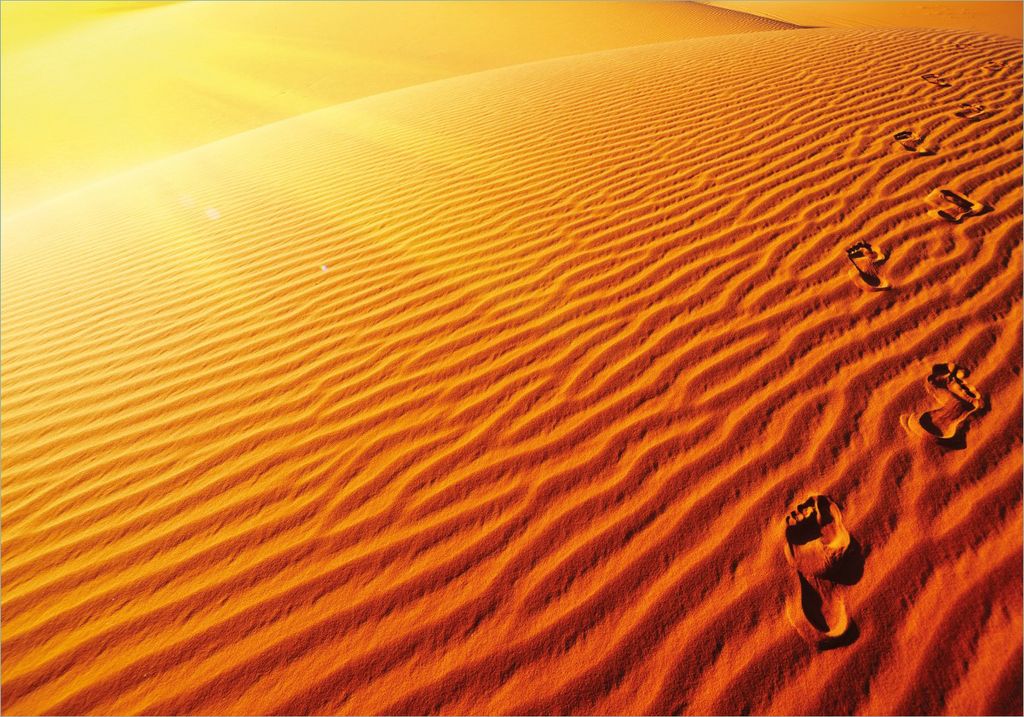 Wallario Poster - Fußspuren im Sand - Sanddüne in der Wüste, Kunstdruck Größe: 70 x 100 cm