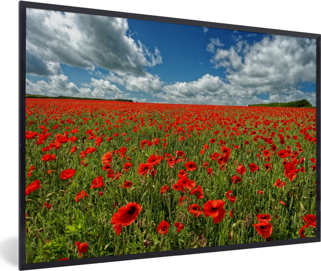 MuchoWow MuchoWow Gerahmtes Poster Schneeweiße Wolken über einem Mohnblumenfeld 90x60 cm - Poster mit zchwarzem Bilderrahmen - Fotorahmen - F...