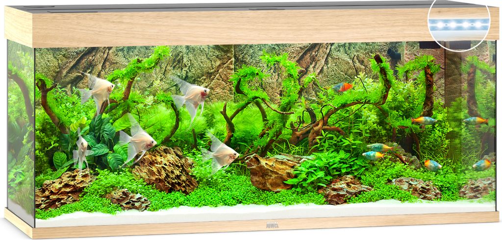 Aquarium JUWEL Rio 240 mit LED-Beleuchtung, Pumpe, Filter, Produktbild 