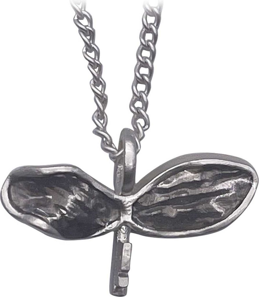 Harry Potter Halskette & Anhänger Flying Key Produktbild 