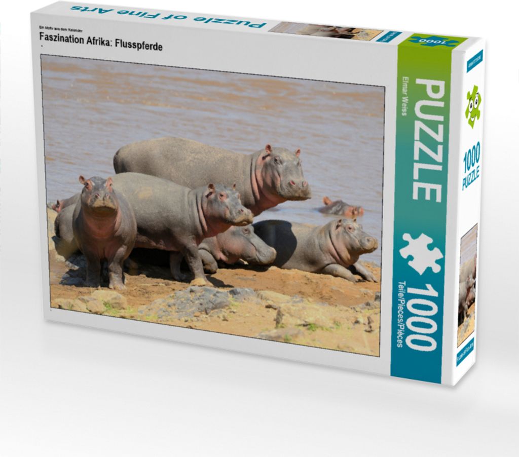 CALVENDO Puzzle Ein Motiv aus dem Kalender Faszination Afrika: Flusspferde | 1000 Teile Lege-Größe 64x48cm Foto-Puzzle für glückliche Stunden
