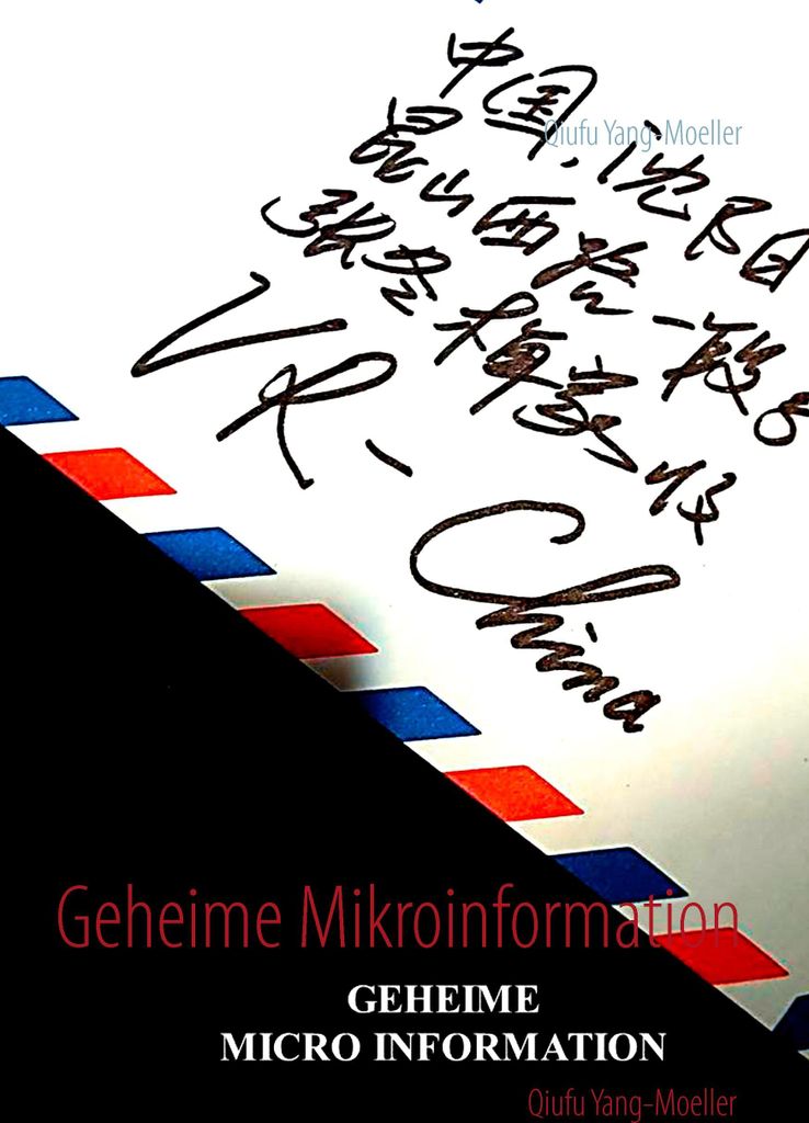 Geheime Mikroinformation